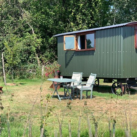 Bed and Breakfast Sindles Farm Эмсворт Экстерьер фото